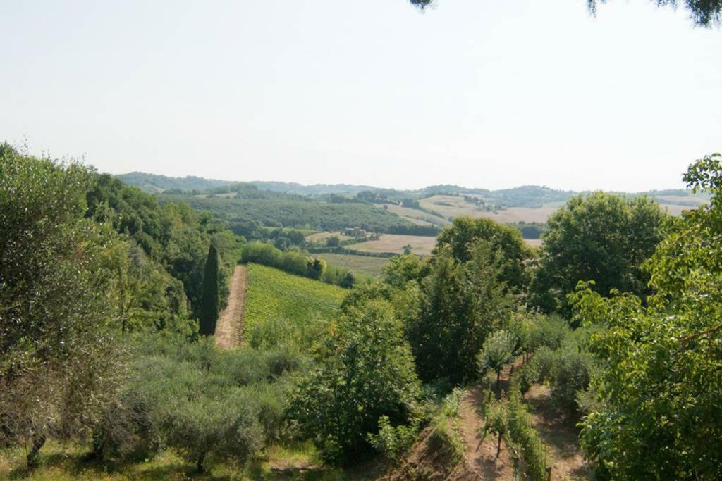 Stunning Country House Overlooking Tuscany Hills Lorenzana 外观 照片